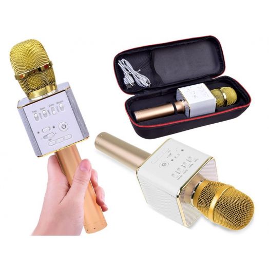 Karaoke mikrofonas vaikams, Bluetooth, aukso spalvos 