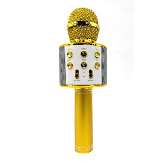 Karaoke mikrofonas vaikams, Bluetooth, auksinis 