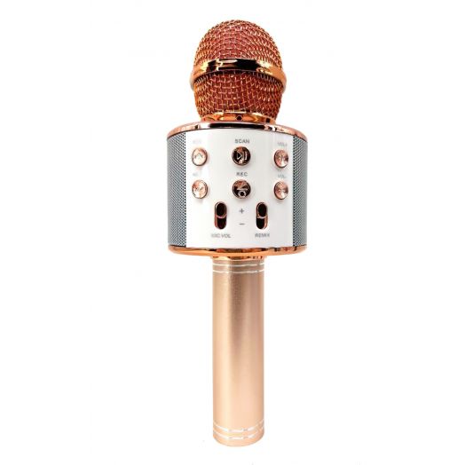 Karaoke mikrofonas vaikams, Bluetooth, bronzinis 