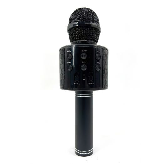 Karaoke mikrofonas vaikams, Bluetooth, juodas 