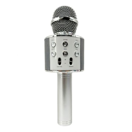 Karaoke mikrofonas vaikams, Bluetooth, sidabrinis 