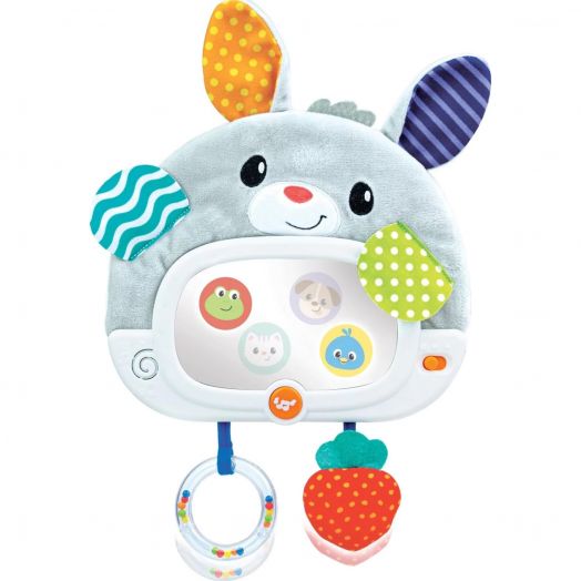 Pakabinamas žaislas su garsais ir šviesomis kūdikiui „Day 'N Night Bunny Pal”, Winfun 