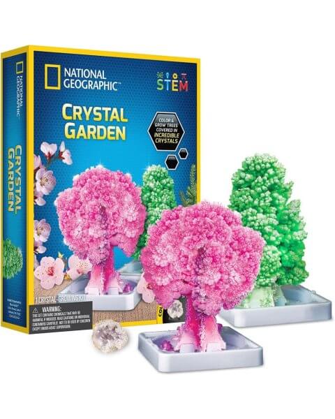 Kristalų auginimo rinkinys &bdquo;Crystal Garden&rdquo;, National Geographic 